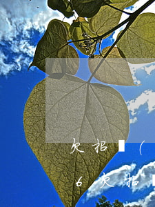 欠招聯(lián)金融40000還不了6(欠招聯(lián)金融5萬多、沒能力還會怎么樣)